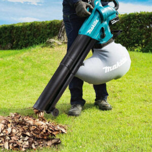 Aspirateur Souffleur